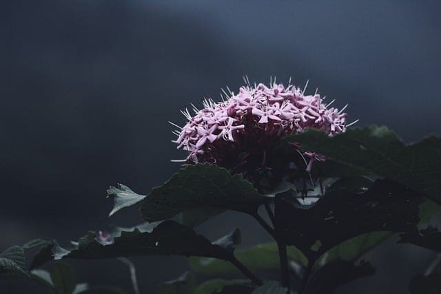 研究生毕业论文